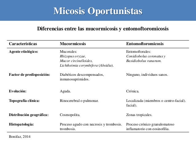 micosis oportunistas